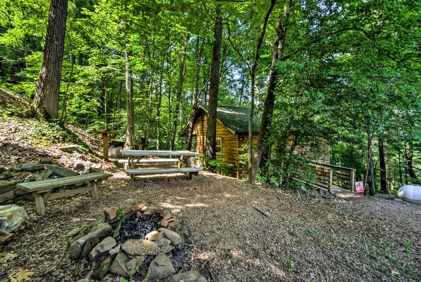 Eine rustikale Holzhütte mit Picknicktisch und Feuerstelle in einem bewaldeten Gebiet.