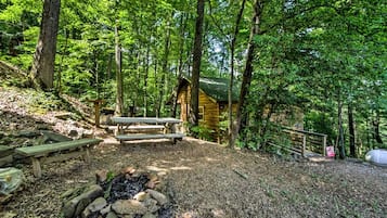 Eine rustikale Holzhütte mit Picknicktisch und Feuerstelle in einem bewaldeten Gebiet.