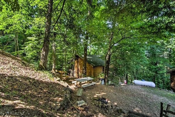 Eine rustikale Holzhütte mit Holzfassade, umgeben von dichtem Wald. In der Nähe befinden sich Picknicktische und ein kleines Gartenhaus.