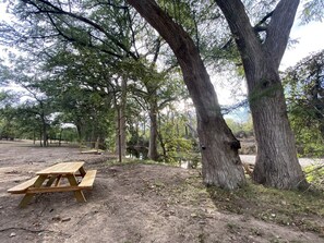A picnic table in a wooded area with trees and a dirt ground.