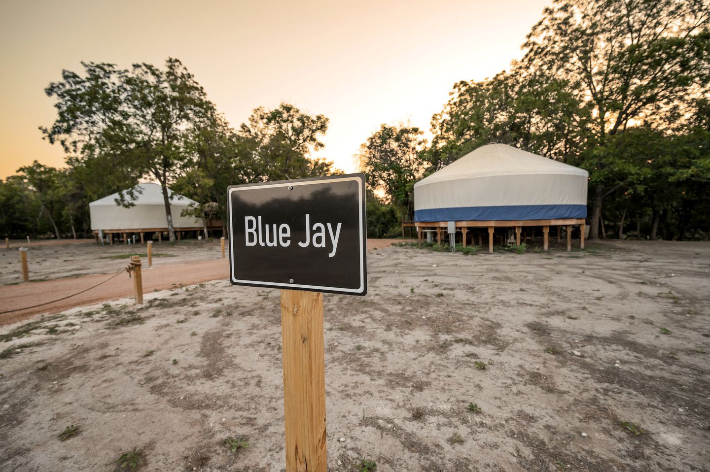 A sign labeled 'Blue Jay' in a campsite with tents and trees.