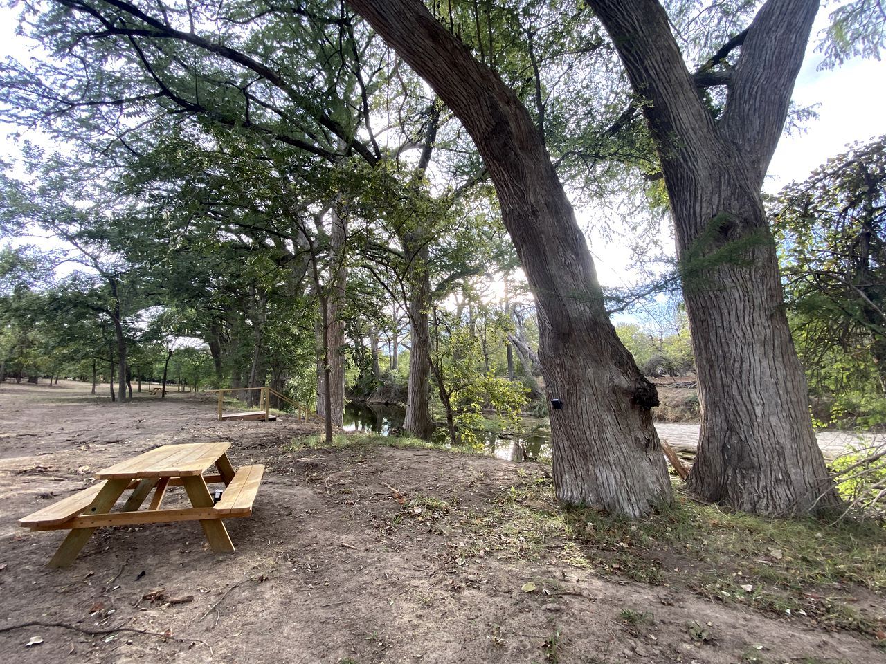 A picnic table in a wooded area with trees and a dirt ground.