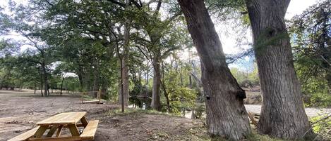 A picnic table in a wooded area with trees and a dirt ground.