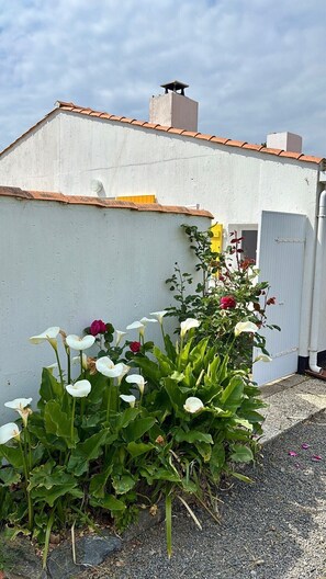 Exterior detail - Newly renovated detached house 400 m from the sea (BRETIGNOLLES SUR MER)