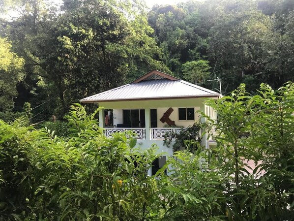 Una casa rodeada de abundante vegetación, con un porche visible y un árbol grande al frente.