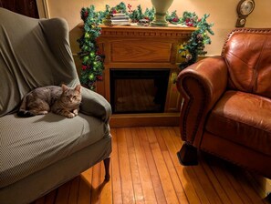 Fireplace, DVD player, video library - Unique Vacation Rental in an Old Farmhouse in Windsor County, Vermont (South Royalton)