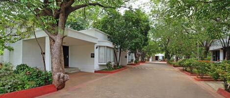 A tree-lined street with white buildings, a clear sky, and a red-tiled pathway.