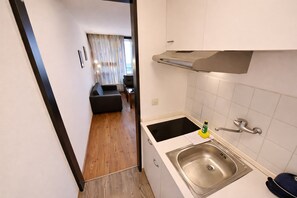 A compact kitchen with a sink, a stove, and a small countertop. - Studio Robert mit Pool und Sauna (Freyung)