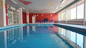 Indoor pool - Studio Rainer mit Pool und Sauna (Freyung)