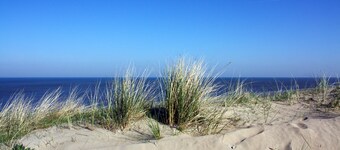 Huisje bij Zee 59