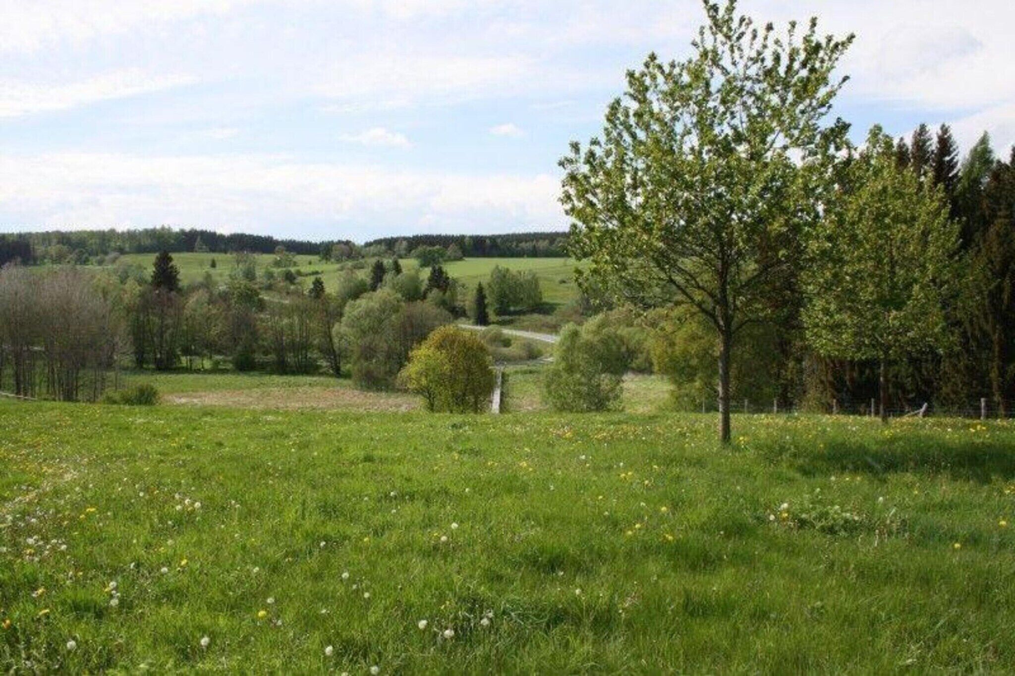 Eine Wiese mit Bäumen und einem Zaun.