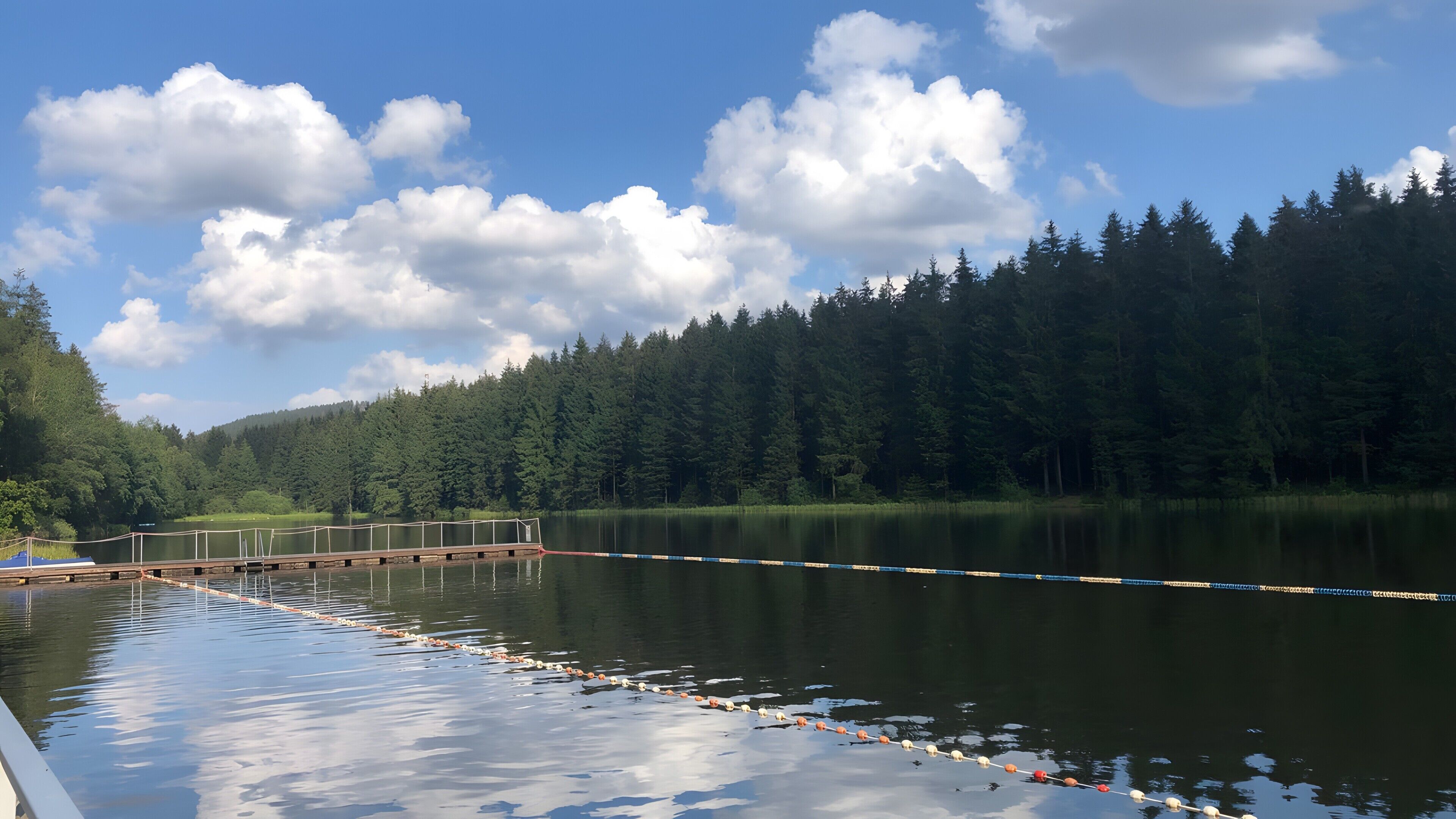 A calm lake with a wooden dock, surrounded by dense forest and a clear sky.