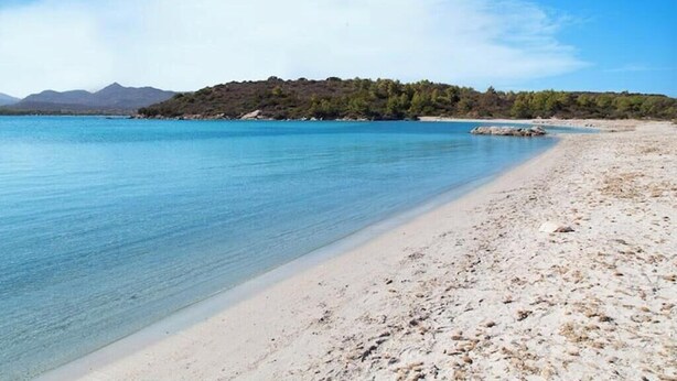 Una spiaggia con acque cristalline, una riva sabbiosa e una collina boscosa sullo sfondo.