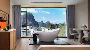 Panoramic Studio Suite