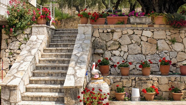 Un escalier en pierre menant à un bâtiment, lequel est entouré de plantes et de fleurs en pot.