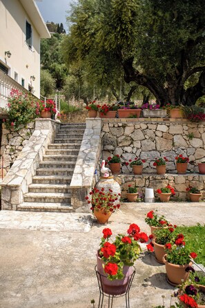 A stone staircase leading to a building, surrounded by potted plants and flowers. - Amaryllis Haus (Zakynthos)
