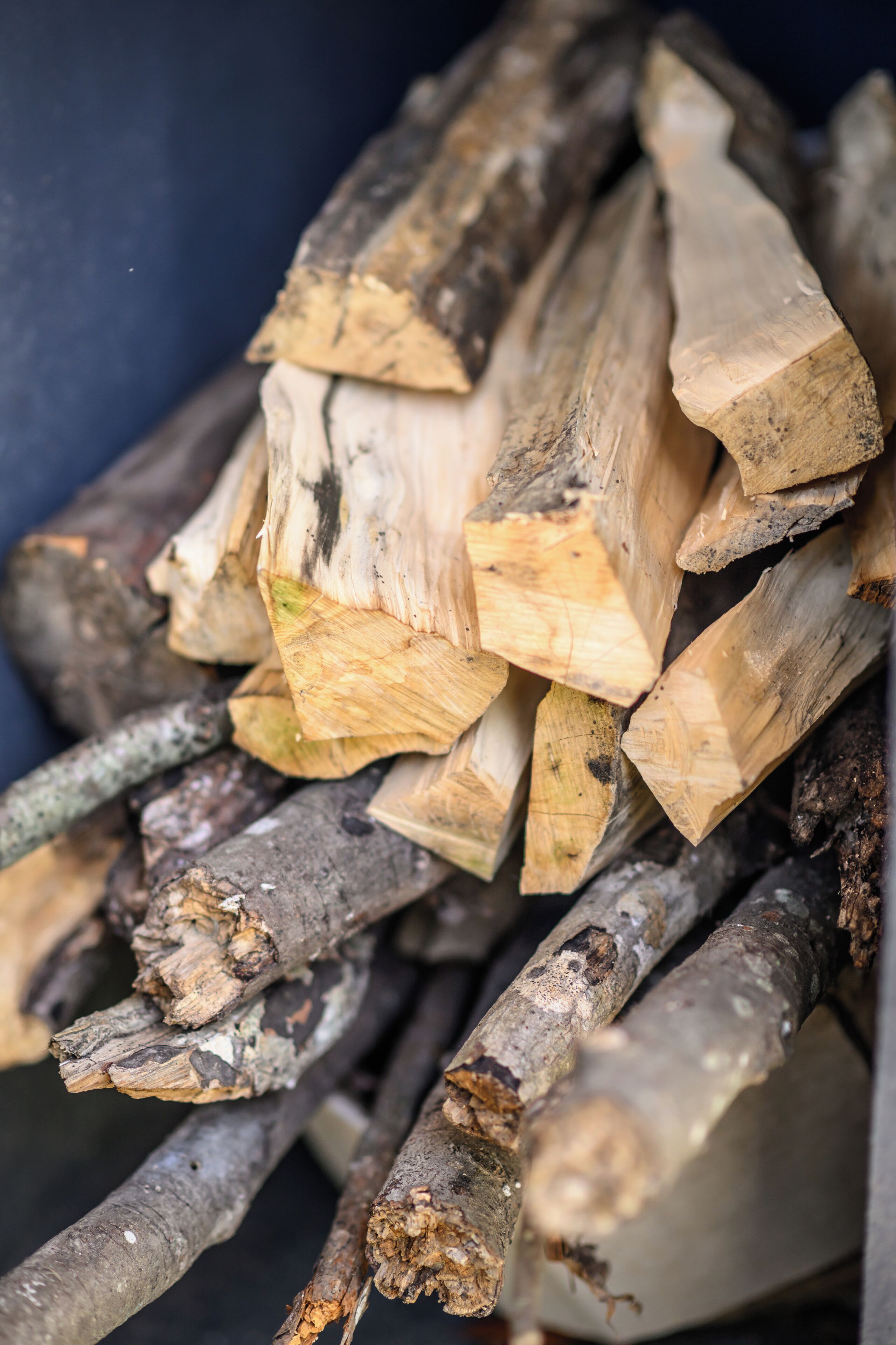 A stack of firewood.