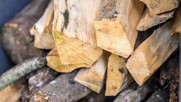 A stack of firewood.