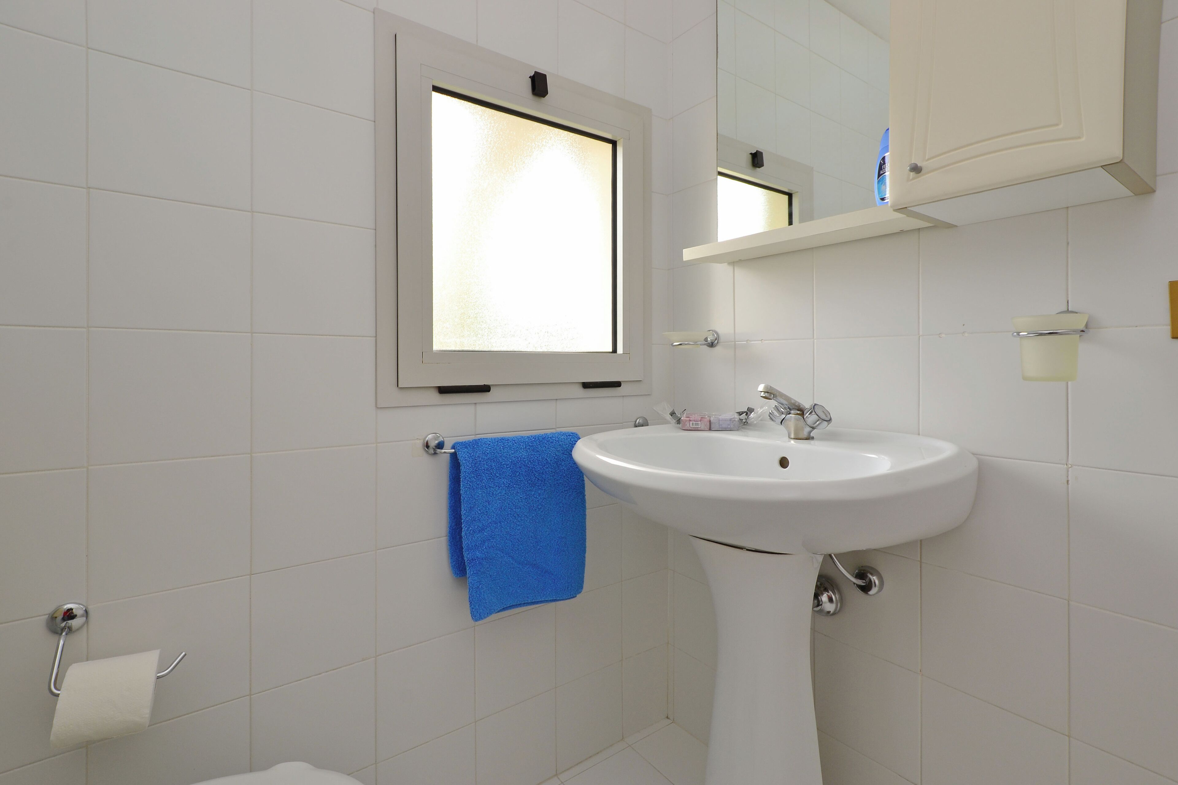 A bathroom with a white sink, a blue towel, a toilet paper holder, and a window.