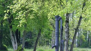 Áreas de la propiedad