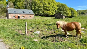 Um edifício de pedra com telhado inclinado, um pasto cercado e um cavalo.