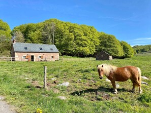 Property grounds - Charming Buron in Aubrac: Nature, calm and relaxation. (Trélans)