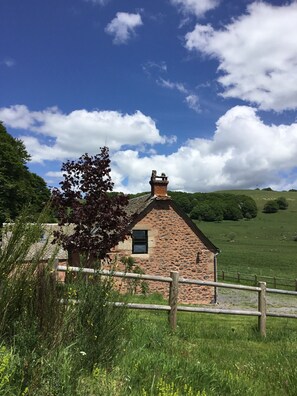 Uklassifisert bilde, 4 av 11, knapp