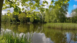 A calm lake surrounded by lush greenery and trees. - Unique half-timbered house on a park-like plot with fantastic views (Südheide)
