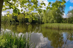 Luokittelematon kuva, 3 kautta 14, painike
