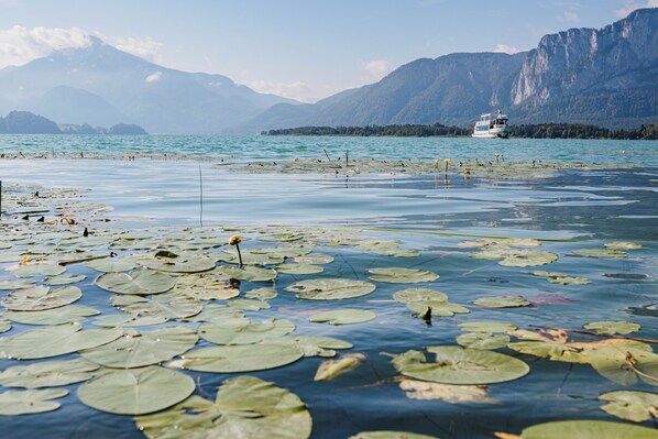 A lake with lily pads and a boat in the distance. - odilum (Mondsee)