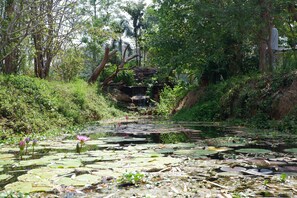Family Villa, 2 Bedrooms, Private Pool, Mountainside | Property grounds
