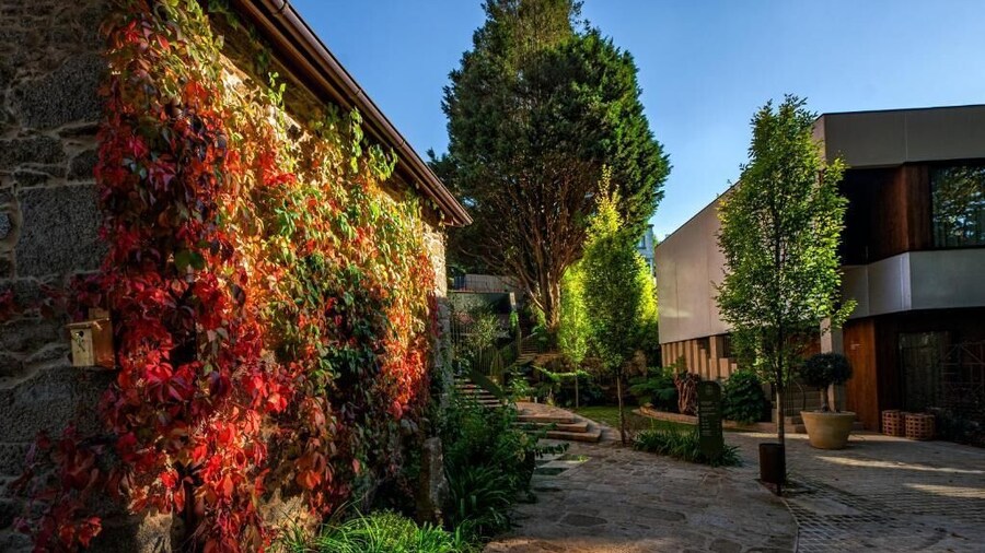 Hotel Sarela Natura