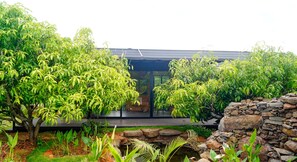 Unclassified image, 4 of 13, button - Amram (Kodiga Timmanapalli)