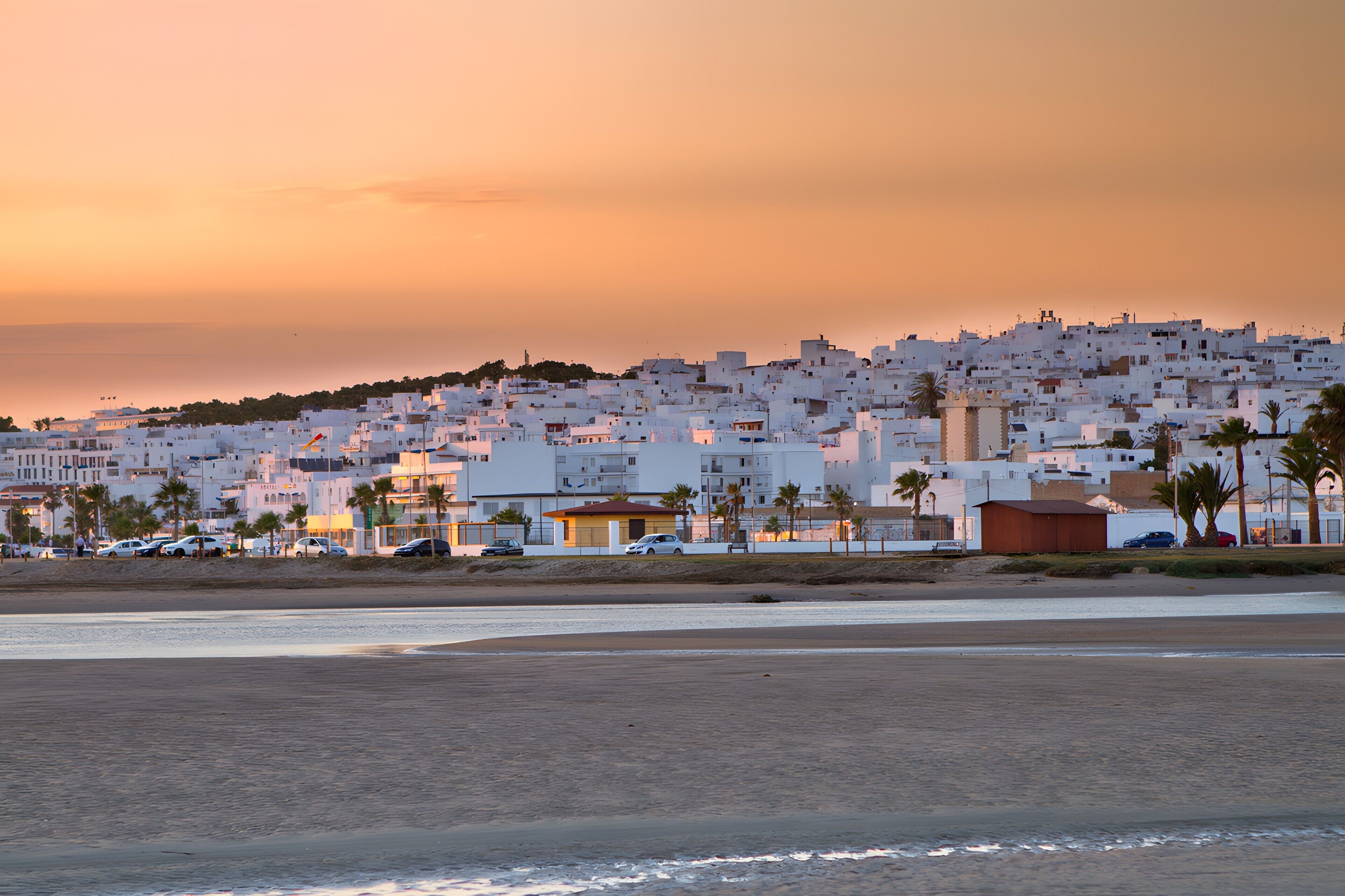 A coastal town with white buildings, a beach, and palm trees.
