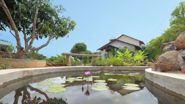 A pond with a lotus flower, surrounded by greenery and a house in the background. - Arokiya (Shoolagiri)