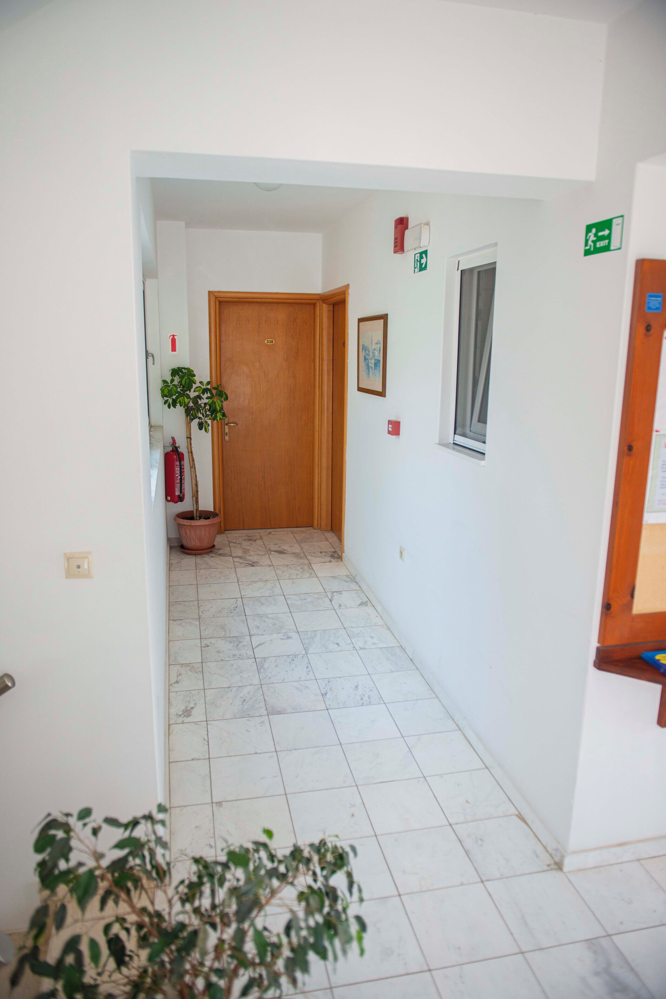 A hallway with a wooden door, a potted plant, a fire extinguisher, and a window.