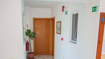 A hallway with a wooden door, a potted plant, a fire extinguisher, and a window.