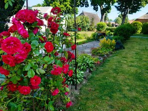 Oklassificerad bild, 5 av 20, knapp