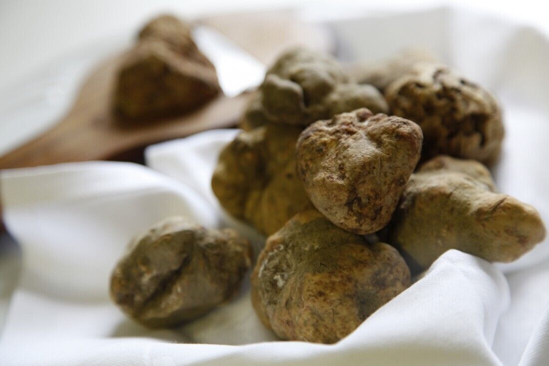 A pile of brownish objects on a white cloth.
