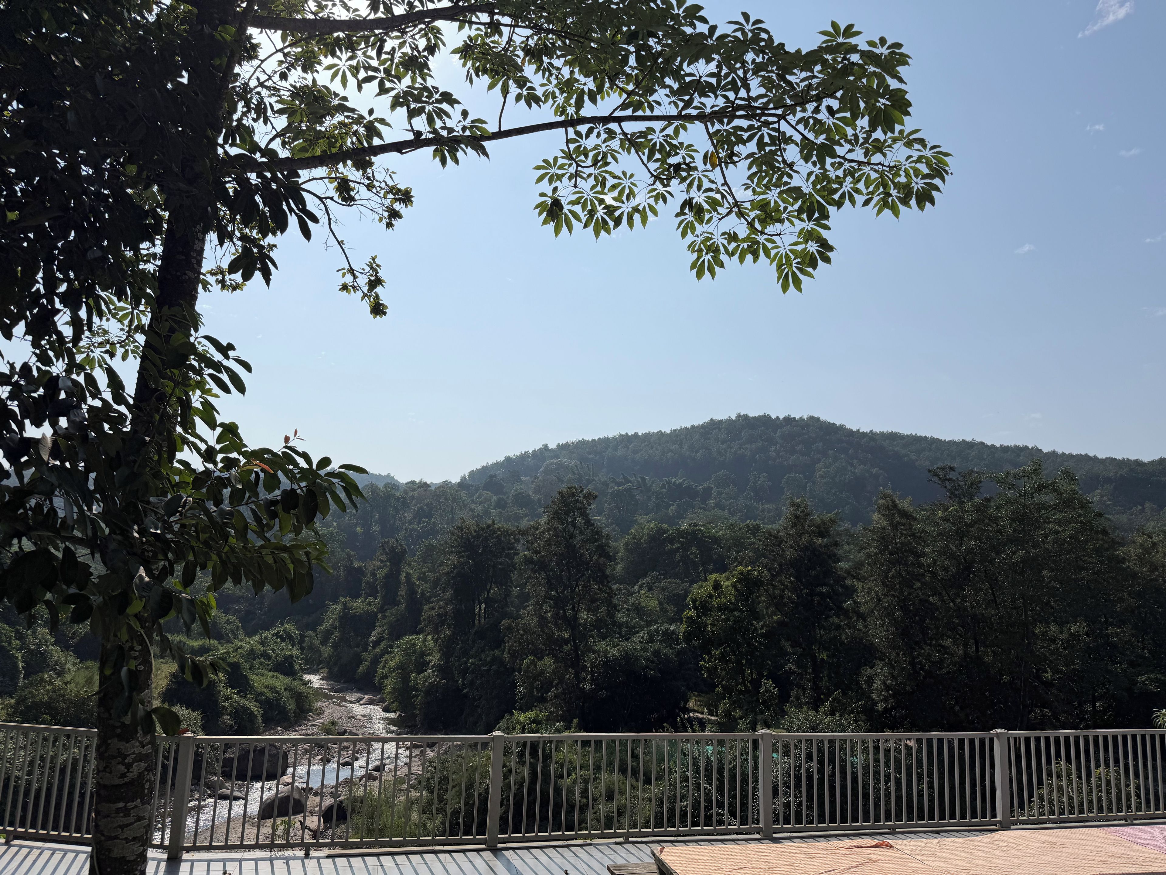A view of a river with a forested hill in the background, a railing in the foreground, and a clear sky.
