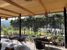 Un espacio al aire libre con mesas y sillas, rodeado de plantas en macetas y árboles.