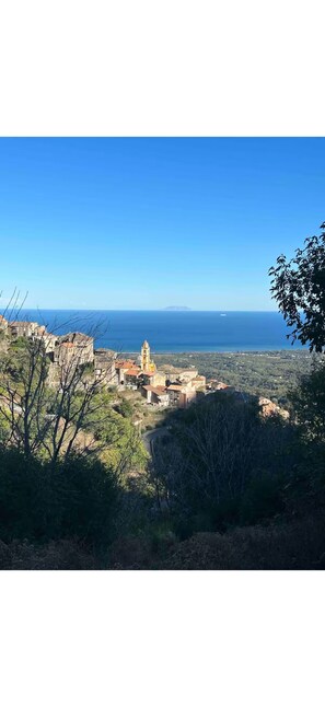 Immagine non classificata, 4 di 20, pulsante