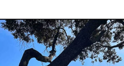 Mini Villa between Sea and Mountain close to all amenities on the Costa Verde