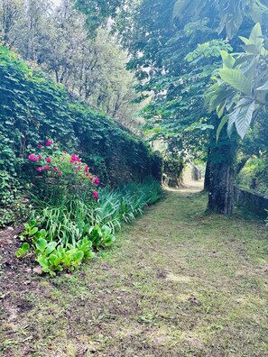 Àrea exterior de l'allotjament