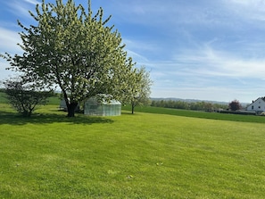 A grassy field with a large tree and a greenhouse. - Geräumige Ferienwohnung Nähe Weser-Radweg, eigener Eingang (Bad Oeynhausen)