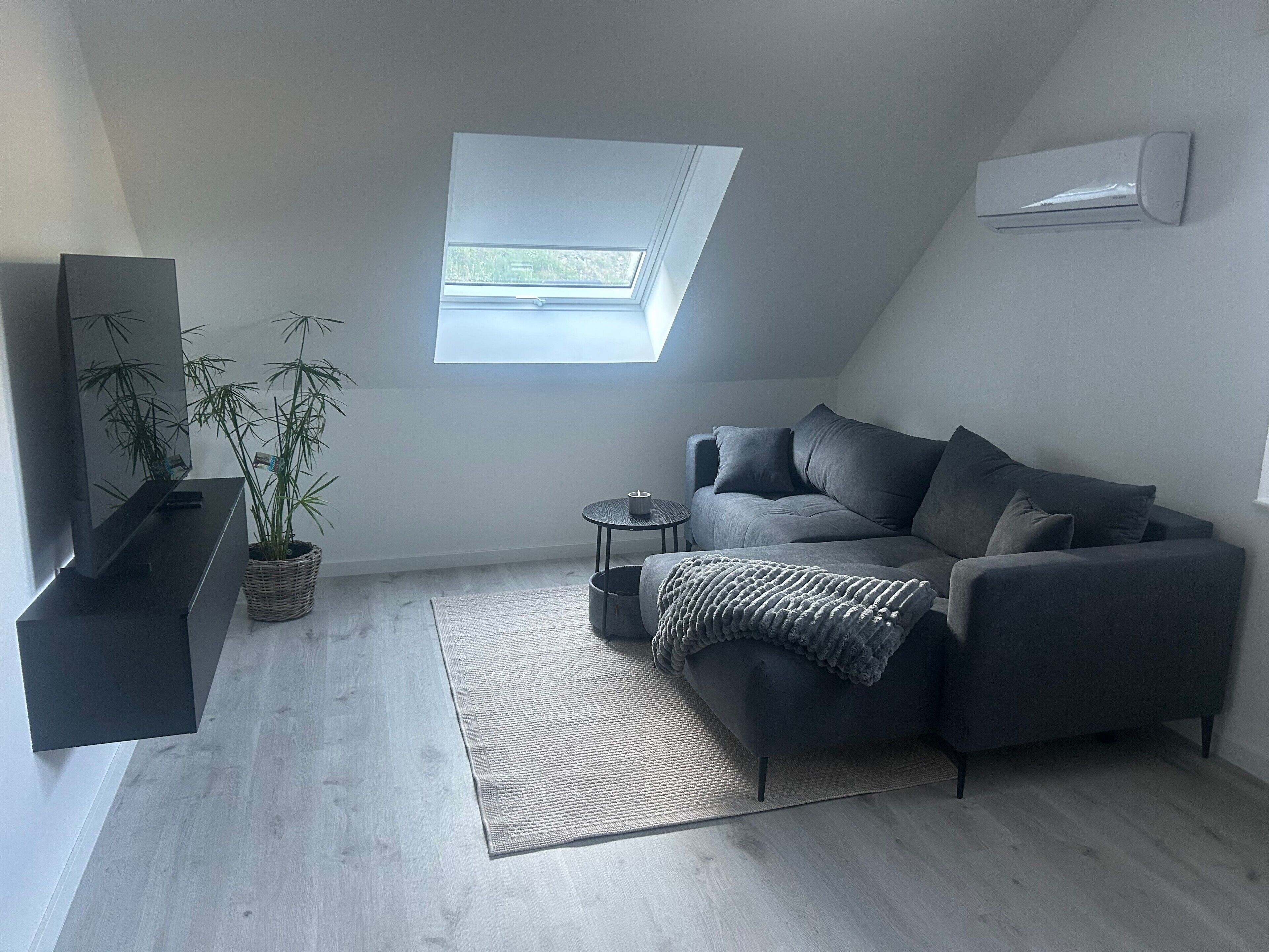 Fernseher