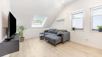 Fernseher