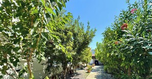Property grounds - Villa Flora Gorgeous 3-bedroom villa by Rental Finders Dalyan (dalyan)