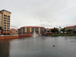 Exterior - Cozy 1-bedroom resort in serene Kissimmee with AC and fitness room (Kissimmee)