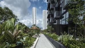 Un camino bordeado de vegetación y un edificio moderno con balcones.